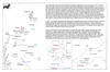 coo0c18 solebay 2_thumb.gif